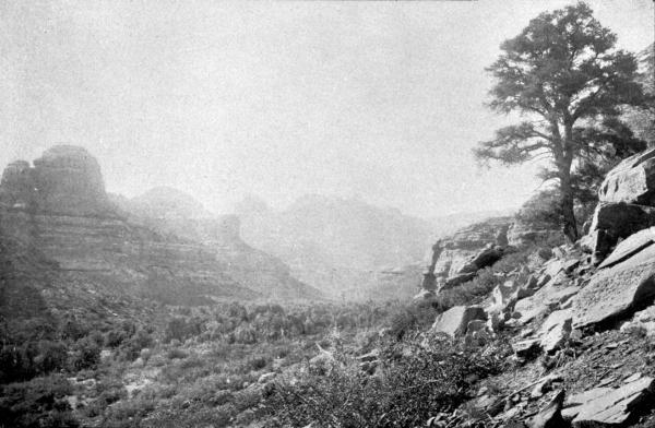 PL. XCVIII—
THE RED ROCKS; TEMPLE CANYON