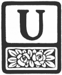 U