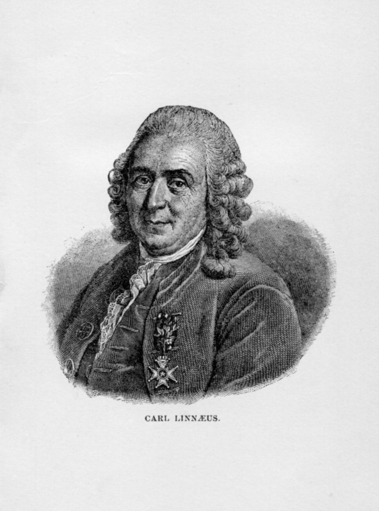 CARL LINNAEUS.