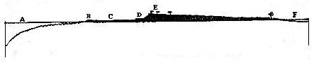 Vertical section of one of the low islets.