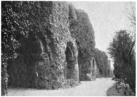 Ruins of Reading Abbey