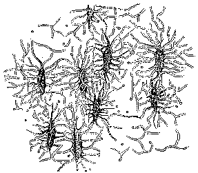 Fig. 6--Nine star-shaped bone cells.