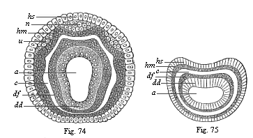 Diagram of the four secondary terminal layers.